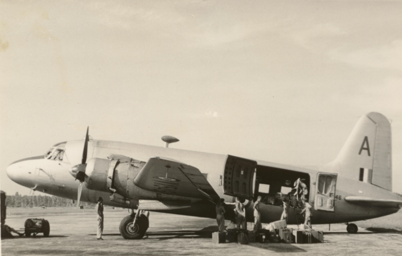 Image alt text